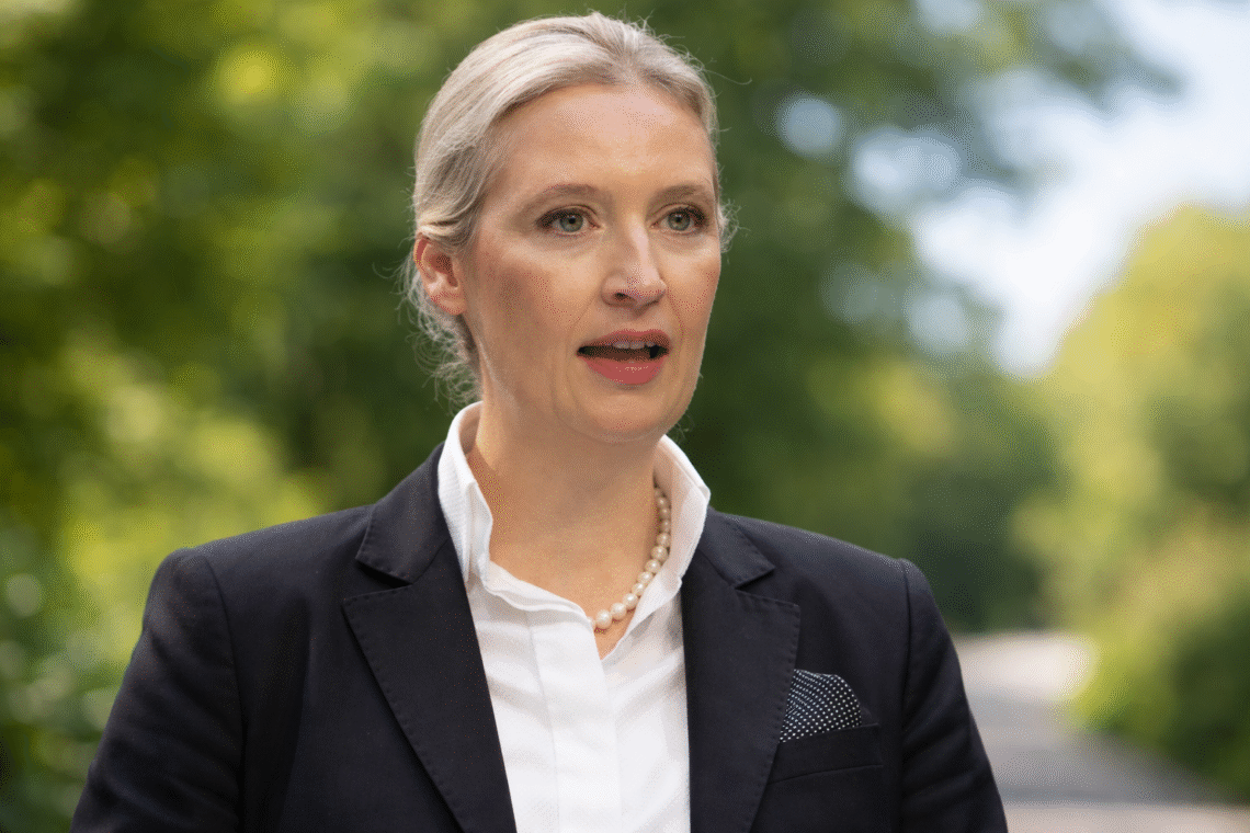 alice weidel ohr prothese