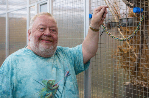 norbert zajac todesursache